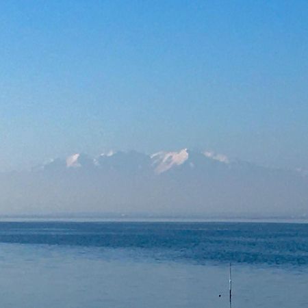 Bella Vista ,Acces Direct Plage, Front De Mer, Vue Mer Panoramique Le Barcarès エクステリア 写真